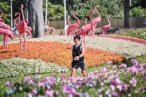 BIB: 
                            <button type="button" onclick="openModal(27793966)" class="btn btn-primary btn-sm float-right btn-popup" data-toggle="modal" data-target=".modal-high-quality">
                        <i class="fas fa-shopping-cart"></i> Add to Cart
                    </button>
                                            <button type="button" onclick="isThisMe(27793966, true)" class="btn btn-success btn-sm float-right btn-popup btn-isme hidden" data-toggle="tooltip" data-placement="bottom" title="นี่คือรูปของคุณใช่ไหม คลิกที่นี่เพื่อเอาเข้าอัลบั้ม">
                        <i class="fas fa-plus"></i> Add to album
                    </button>
                    <button type="button" onclick="isThisMe(27793966, false)" class="btn btn-warning btn-sm float-right btn-popup btn-isnotme hidden">
                        <i class="fas fa-ban"></i> Remove from album
                    </button>